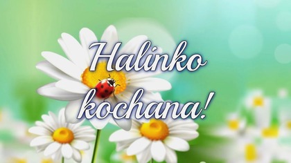 W dniu imienin Twoich Halinko kochana!
Niech każda minuta kwieciem Ci usłana...
Halina imieniny obchodzi 1 lipca i 24 sierpnia.
Jest to imię żeńskie pochodzące od greckiego galene; spok&oacute;j, błogostan. 
Jeśli podoba Ci się moja praca, wesprzyj proszę m&oacute;j kanał na YT subskrybując go, aby oglądać więcej film&oacute;w: @gosia_pik 
#życzenia #halina #imieniny #dc #życzeniaimieninowe