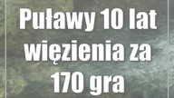Puławy: 10 lat więzienia za 170 gramów