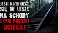 Jeśli natkniesz się w lesie na SCHODY czym prędzej UCIEKAJ - Reddit CreepyPasta