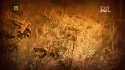 Skarby opactwa w Krzeszowie