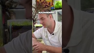 Ślimaki - przyczyny plagi #akwarium #ślimak #shorts