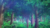 Seirei Gensouki (anime) - Odcinek 4 The Assassin Girl 1080p