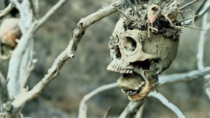Bone Tomahawk (2015) 