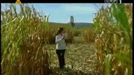 W KRĘGU TAJEMNICY ODCINEK 2