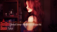 Timmy & Tommy feat. Leila - Perfect Motion (Allybasse Mix)