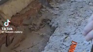 Sprawdzasz co tynkarze zostawili w prezencie