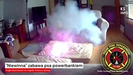 Niewinna zabawa psa powerbankiem mogła doprowadzić do tragedii [Serwis informacyjny, KSTV Info]