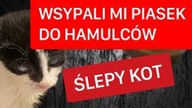 KTOŚ WSYPAŁ MI PIASEK DO HAMULCÓW/ MÓJ NOWY ŚLEPY KOT