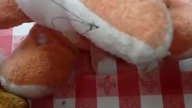 Przygody zwierzątek 16 latające zwierzątka