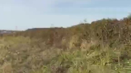 Późnym popołudniem.