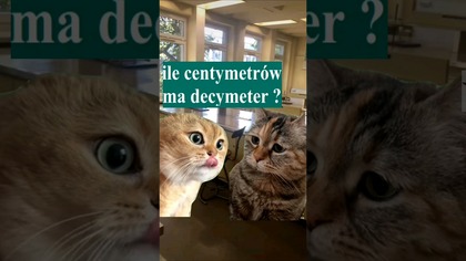 ile centymetrów ma decymeter ? 4k