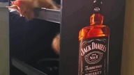 Wieża Jack Daniels dla kota  #mainecoon #cat #catlover #catvideos #koty #jackdaniels #kotki