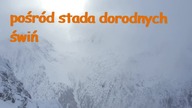 Dowcip dnia! #022# #dowcipdnia #dowcip #kawały