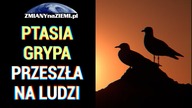 Alarm w Kanadzie - pierwszy przypadek zakażenia człowieka ptasią grypą
