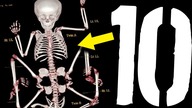 10 części ciała, o których nie miałeś pojęcia [TOPOWA DYCHA]