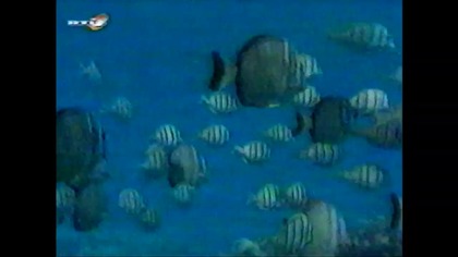 Taniec Z Szatanem Rtl 7 VID-1700403187912