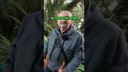 Dzikie vs Hodowlane: Gdzie tkwi pułapka? 