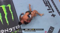 UFC 296 HD