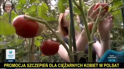 Pytania zaniepokojonego rodzica.  Idiota doktor twitter. com¿mx1 Nie mają badań na nic.  Odpowiedź MZ  mp4 686x432