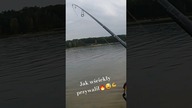 Atak szczupaka // przywalił jak wświekły 