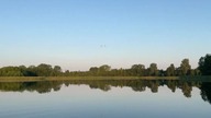 Kormorany nad jeziorem Wigry, 26. 06. 2022, Stary Folwark.