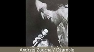 Andrzej Zaucha / Dżamble - Ramblin on my mind (wersja radiowa, 1971)