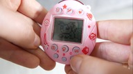 OSZALALAM - TAMAGOTCHI, LODY/KOKTAJL  NA JUTRO | szarlot t