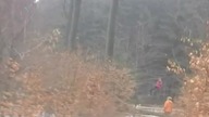 Dziewczynka lewitująca w ruskim lesie