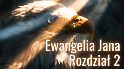 Ewangelia Jana 2  Biblia wers po wersie | Fabian Błaszkiewicz
