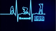 Eurobiznes - EKG (Elektryczne Kobiety Gwiżdżą)
