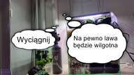 Akwarium z panelem filtracyjnym