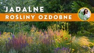JADALNE rośliny ozdobne z Twojego ogrodu !