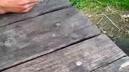 SZYMON 77 (Jakub, Resko)