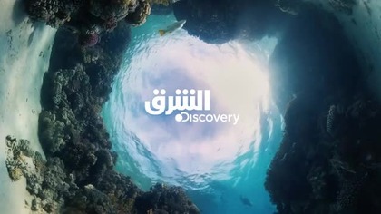 ASHARQDISCOVERY AR - 07-07-2025 - Continuity