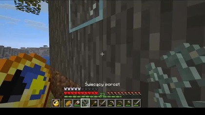 Yes, I just put them on a wooden house because why not #minecraft #game #bruh #games #Short #Shorts