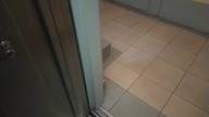 Winda Liftex (kl. 2) Słoneckiego 6, Kraków