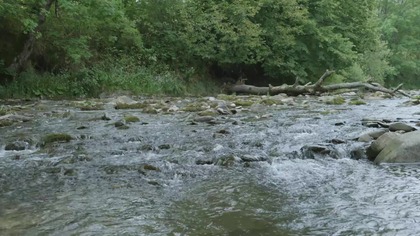 10 Hour Natural White Noise &brvbar; Rushing River Sounds for Unbroken Focus & Study