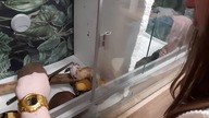 One smooth strike