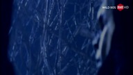 Meat Loaf - Id Do Anything For Love (But I Wont Do That)