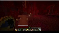 Hoglin and the dancing piglin #minecraft #gaming #game #Nether #Short #Shorts