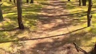 GoPro 13 Ultra Wide Lens Mod Ride E-Bike