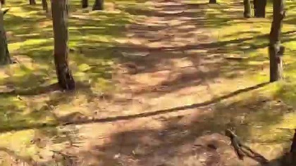 GoPro 13 Ultra Wide Lens Mod Ride E-Bike