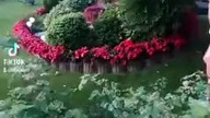 zobacz jak potwory się nade mną alien od dzieci mówią że ja robię problem oddać moje zycie