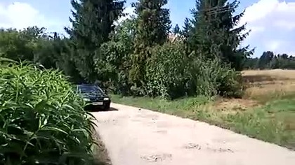 Brama weselna