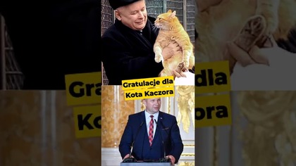Gratulacje dla Kota Kaczora #polityka #Czernek #kot #Kaczyński #IPPTVNaŻywo