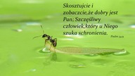 Świadectwo z misji