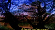 Nasza codzienność