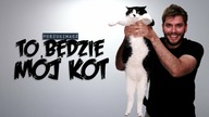 TO BĘDZIE MÓJ KOT | Poszukiwacz 527