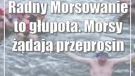 Radny: Morsowanie to głupota.  Morsy żądają przeprosin