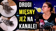 Moja jedna z ulubionych firm lakierów na AliExpress i...  MIĘSNY JEŻ | #104 | Quloo